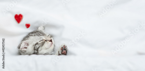 Dreaming kitten sleeps on a bed under warm white blanket. Valentines day concept. Top down view. Empty space for text