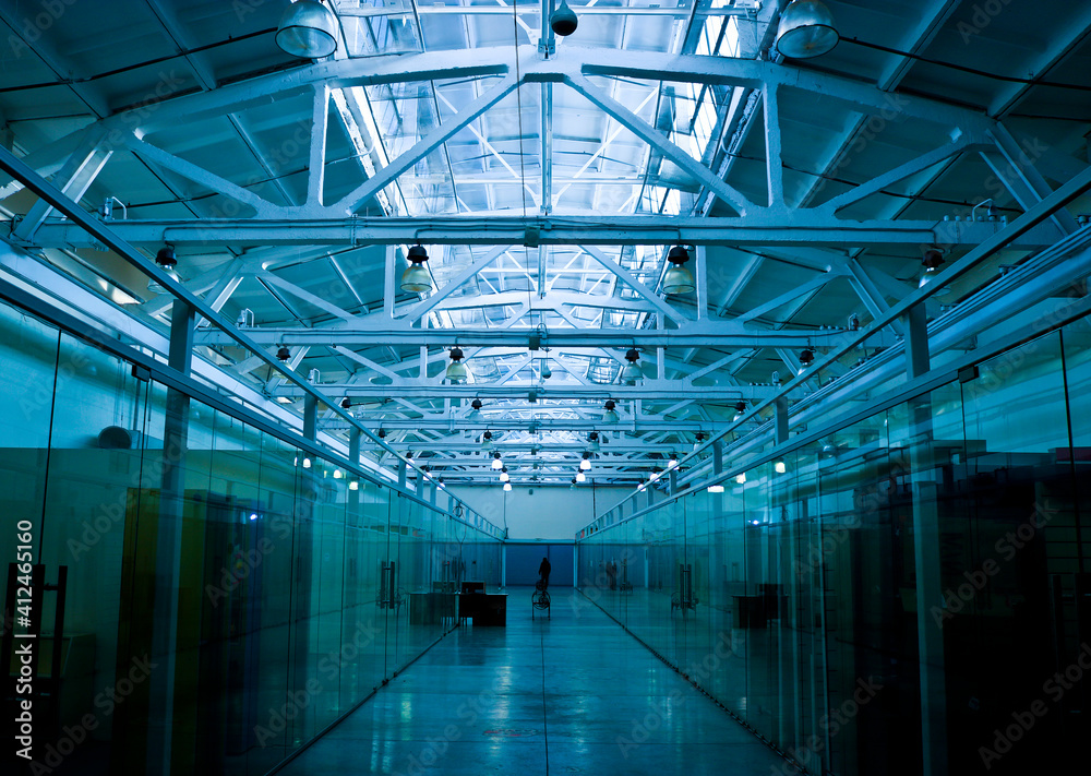 Closed sections of stores in a shopping center due to a lockdown due to the COVID-19 pandemic. Hangar corridor. Closed sections of stores in a shopping center due to a lockdown due to the COVID-19 pandemic. Hangar corridor.