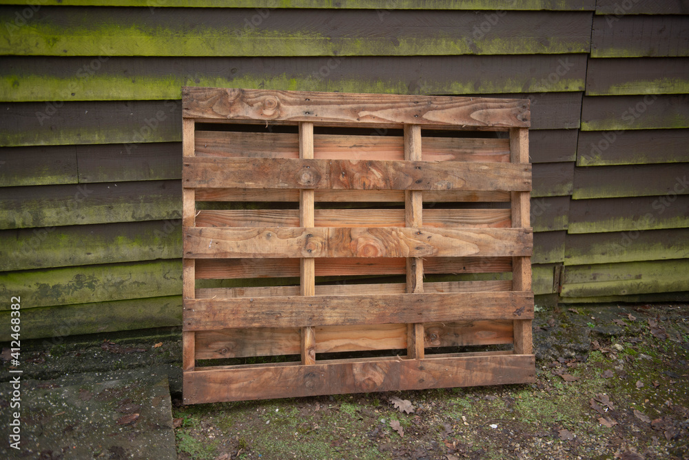 Wooden Builders Pallet or Skid Leaning Against a Garage Wall Covered in Green Algae in Rural Devon, England, UK