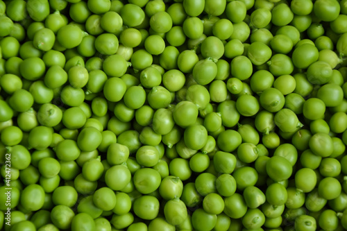 Green pea background. Pea pods from farmland. Pea freshly picked. Organic fresh vegetables. Healthy eating. Country garden harvest.