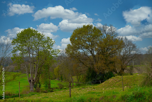 view of the french countryside , cloudy blue sky