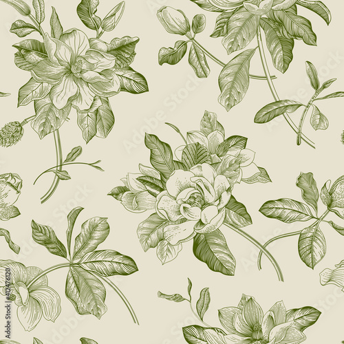 Magnolia grandiflora. Floral seamless pattern. Vector vintage botanical illustration. Green