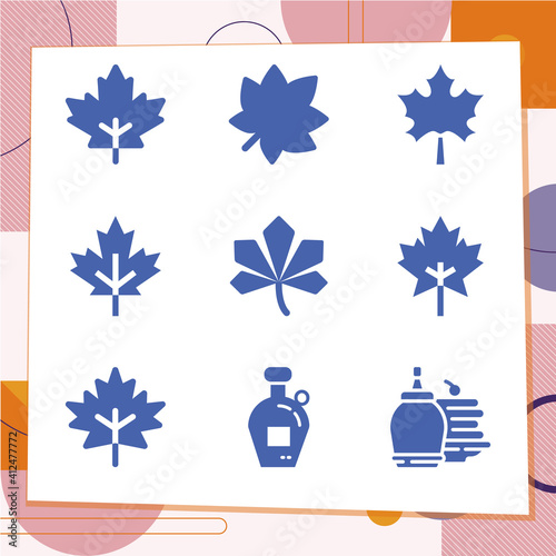 Simple set of 9 icons related to box elder