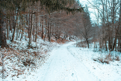 Snowy road in forest