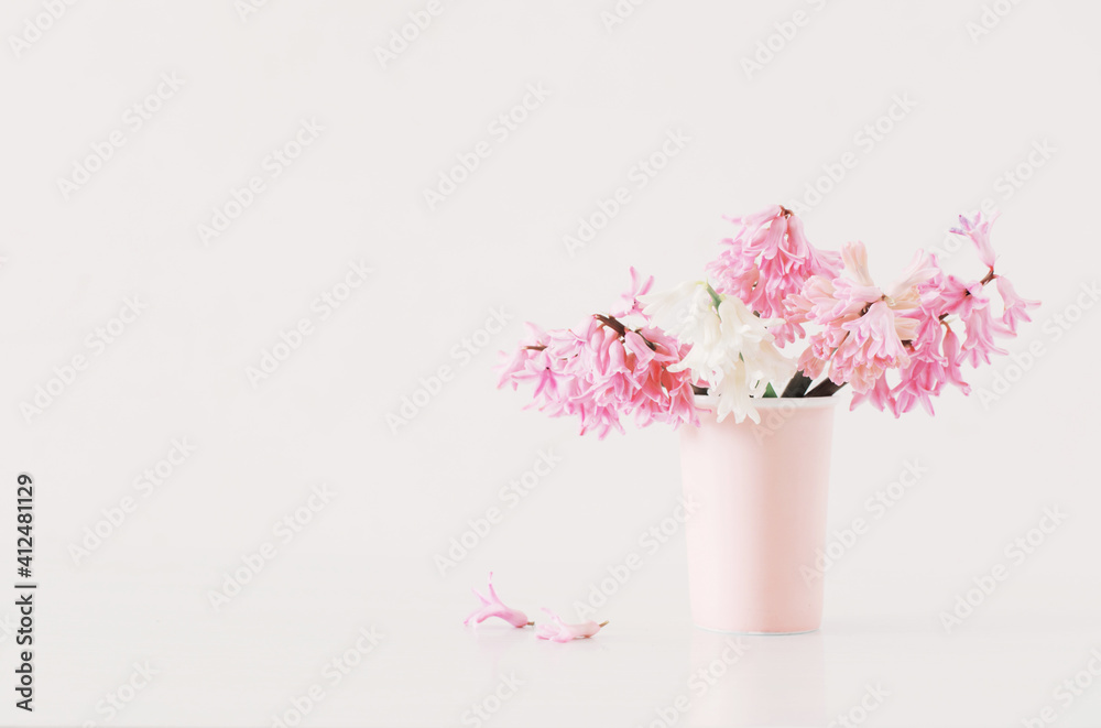 pink hyacinth in vase on white background