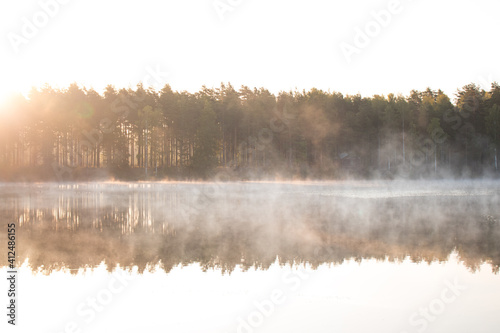 Cold summer morning in the forest with lake, forest reflection and mist on the water surface. © Janis Baiks