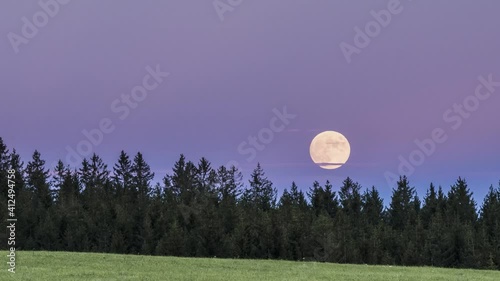 full moon rise above the trees | Timelapse