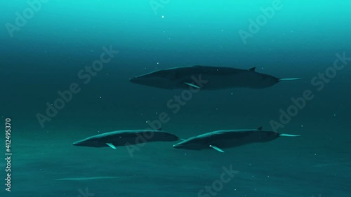 An animation of a group of rorqual whales swimming underwater photo