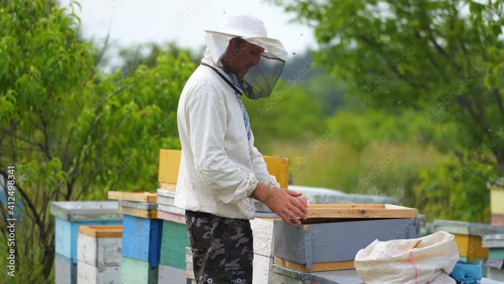 Beekeeper working in his apiary. Frames of a bee hive Beekeeper working in his apiary. Frames of a bee hive