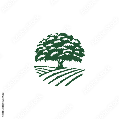 Classic and elegant logo design for a strong and trustworthy brand. 
Be the strong mature elegant company with strong roots and a lot of 
experience. 