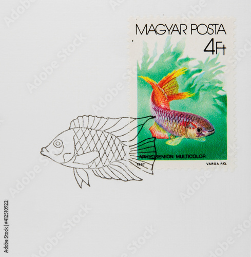 briefmarke stamp gestempelt frankiert cancel used fisch fish vintage retro alt old bunt colorful ungarn hungary magyar posta photo