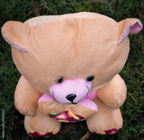 A yellow-pink teddy bear on a black Vignette background, Focused on his Eyes and Nose  photo