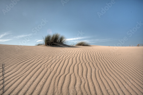 Ammophila breviligulata. Dune grass against blue sky at Famous Tarifa coast. Minimalist landscape photo