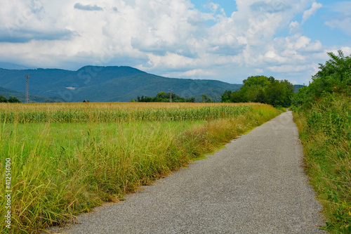 An unmarked cycle lane in rural Friuli-Venezia Giulia  north east Italy  near Cividale del Friuli. A field of corn can be seen on the left 