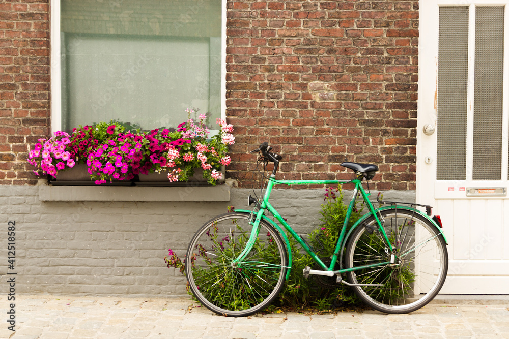 Green bicycle in front of house. Window with flowers