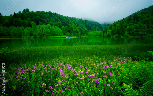 From Turkey  Bor  ka Karagol    green lake with flowers  