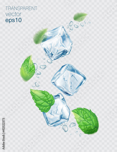 Vector fresh mint leaves and transparent ice cubes isolated on a light background. Mint and ice with transparent shadows