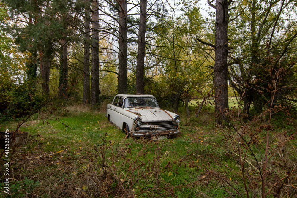Coche abandonado deteriorado por el paso del tiempo y la naturaleza Coche abandonado deteriorado por el paso del tiempo y la naturaleza
