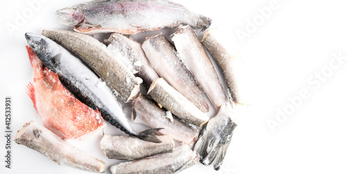 variety of frozen sea sustainable food in ice cubes