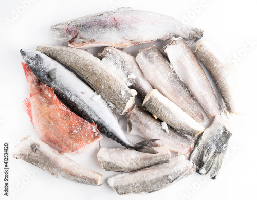 variety of frozen sea sustainable food in ice cubes