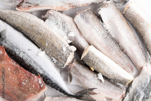 variety of frozen sea sustainable food in ice cubes