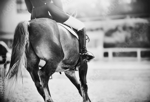 A black-and-white image of a fast horse with a rider in the saddle, galloping forward in the sunlight. Horse riding. Equestrian sports.