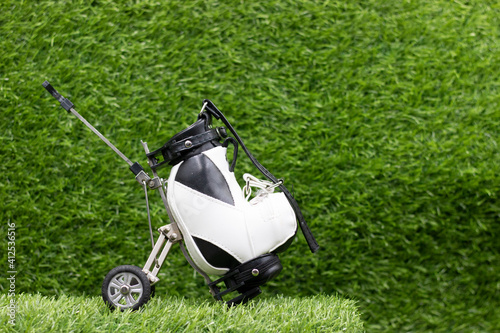 Golf bag is on green grass