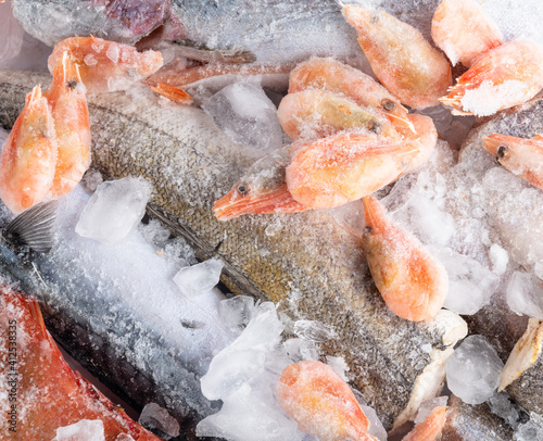 variety of frozen sea sustainable food in ice cubes