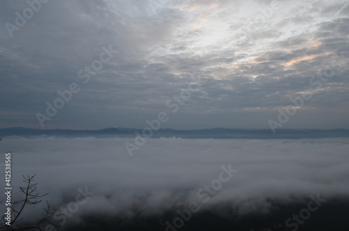 Fog at Ja sont  Lampang  Thailand.