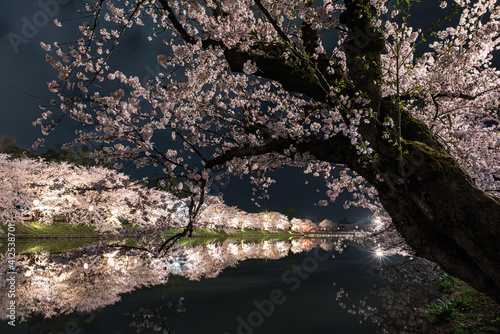 歴史のある弘前城のソメイヨシノ桜
