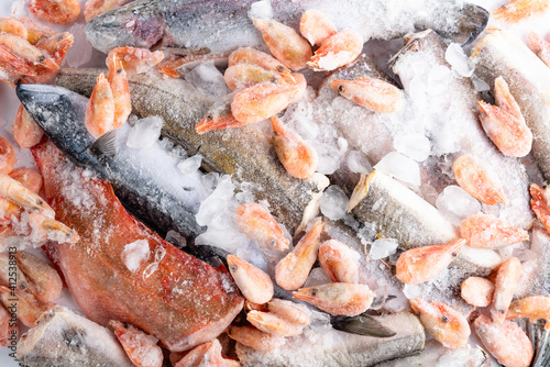 variety of frozen sea sustainable food in ice cubes