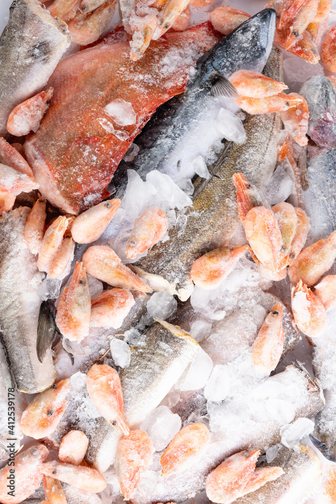 variety of frozen sea sustainable food in ice cubes