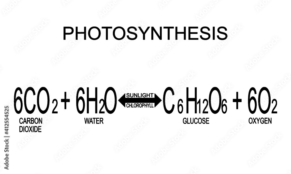 Photosynthesis Chemical Equation