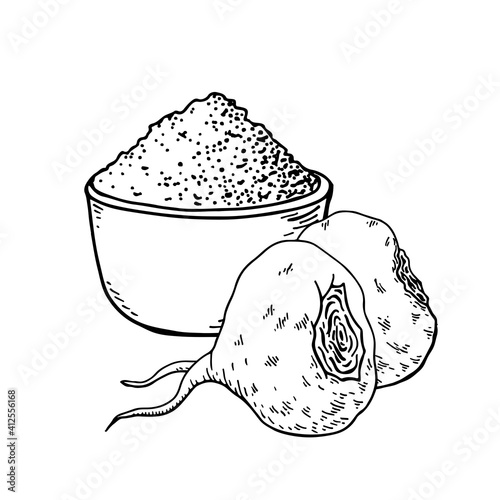 Maca root (Lepidium meyenii, Peruvian ginseng). Design elements for packaging. Hand drawing vector illustration.