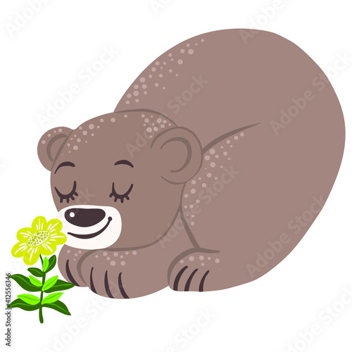 Bear sniffing the first spring flower, isolated vector illustration