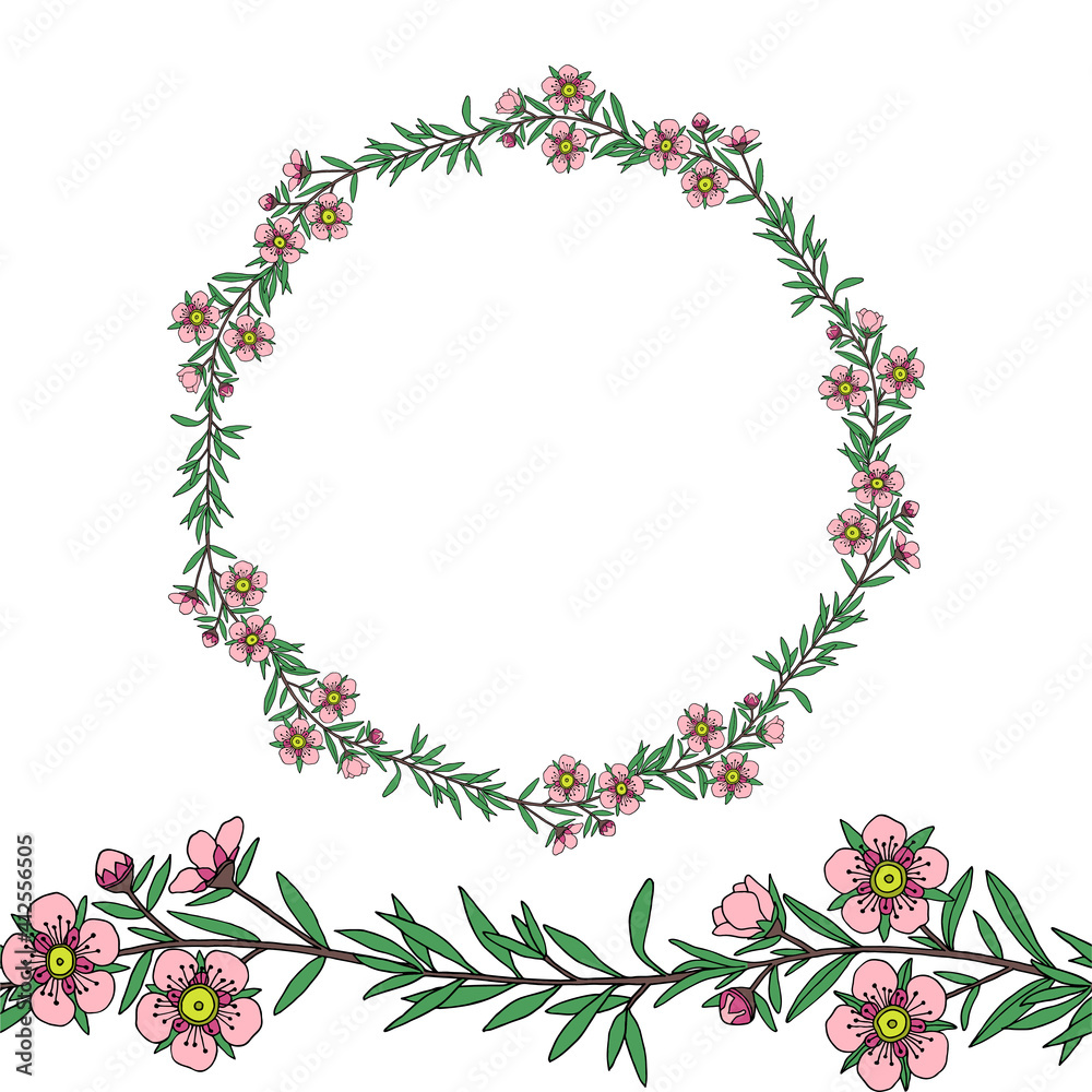 Fototapeta premium Manuka Honey branch, leaves and flower. Seamless garland. Floral wreath. Hand drawn Vector illustration.
