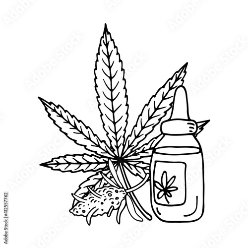 Cannabis (hemp or marijuana) medical plant. Branch with seeds. Hand drawn vector illustration in sketch style.