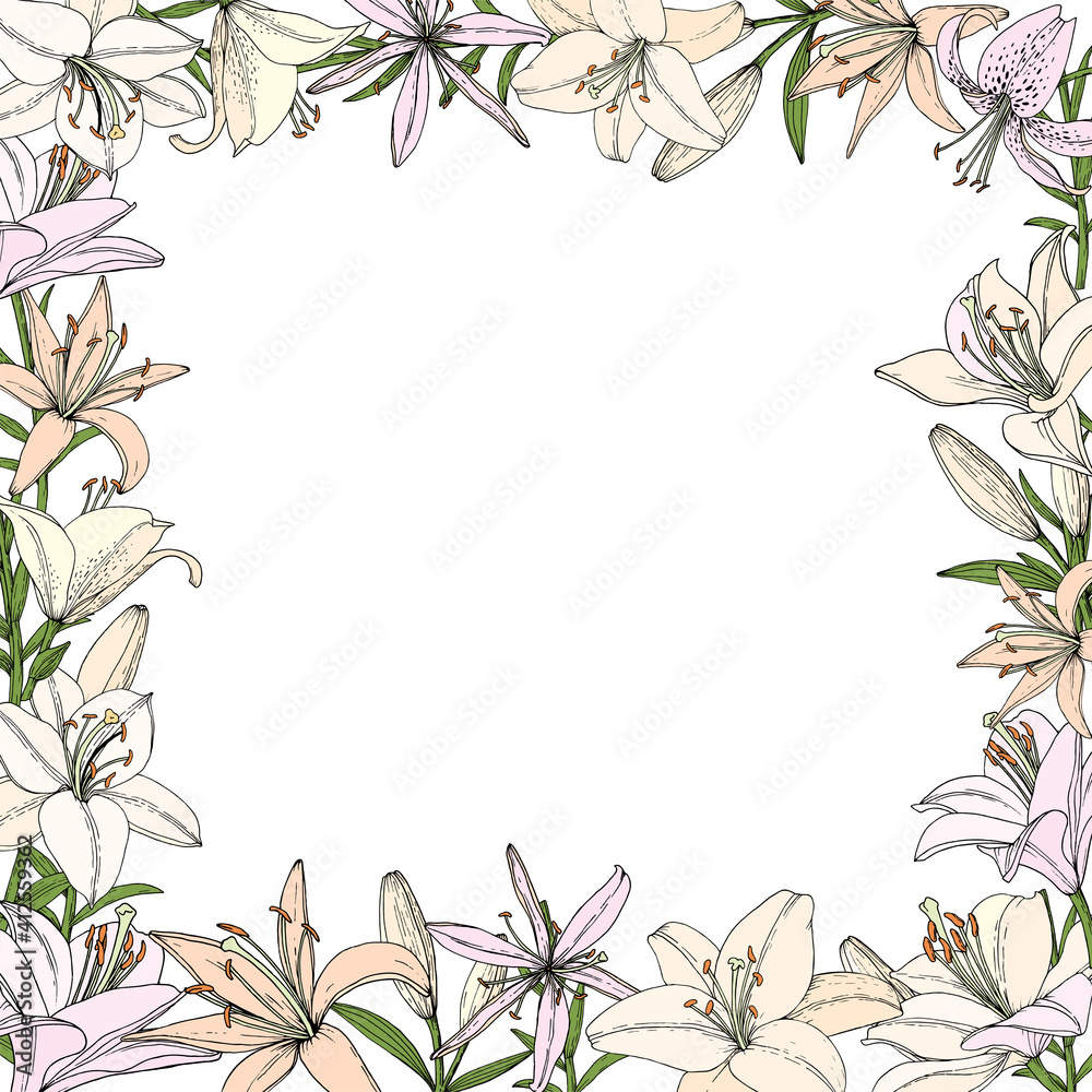Fototapeta premium Frame with Lily flower, bud and leaf. Hand drawn illustration. Vector image in sketch style.