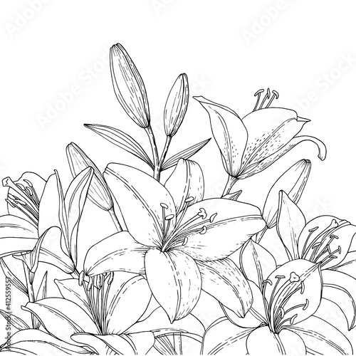 Frame with Lily flowers, buds and leaves. Hand drawn illustration. Vector image in sketch style.