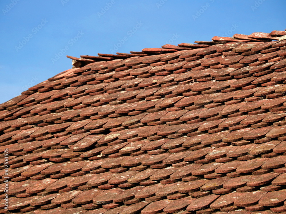 Naklejka premium Old tile on the roof