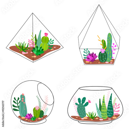 Set of geometric florariums. Geometric terrariums set with plants, succulents and cactus. Scandinavian style home decor. Glass crystal florariums isolated on white background.