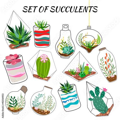 Set of geometric florariums. Geometric terrariums set with plants  succulents and cactus. Scandinavian style home decor. Glass crystal florariums isolated on white background.