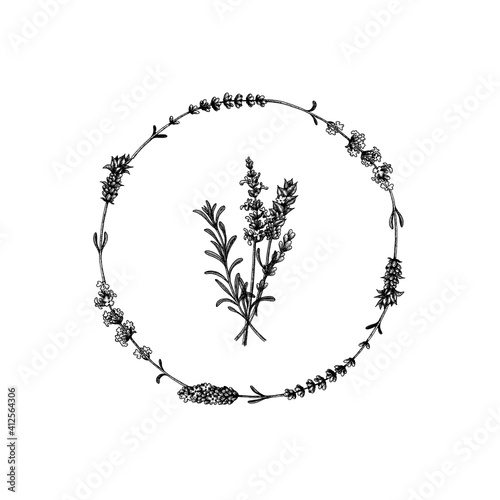 The lavender flowers of wild and cultivars. Floral wreath. Vintage floral set. Ink hand drawn sketch. Vector illustration.