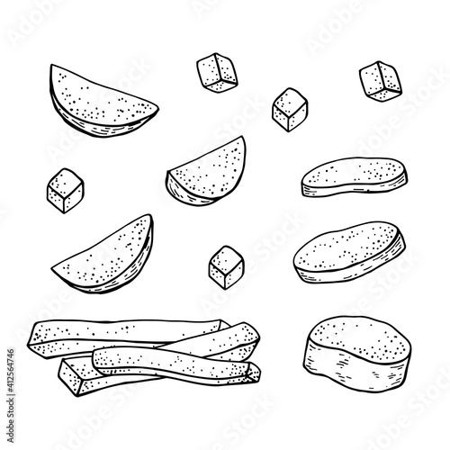 Sweet Potato tubers. Whole potatoes and cut into slices, strips and halves. Hand drawn vector illustration.
