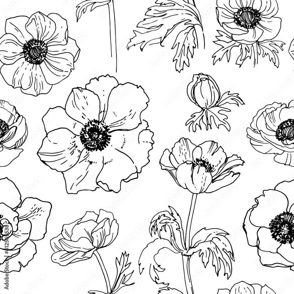Pattern Flowers vector line drawing. Anemone drawn by a black line on a white background. Pattern Flowers vector line drawing. Anemone drawn by a black line on a white background.