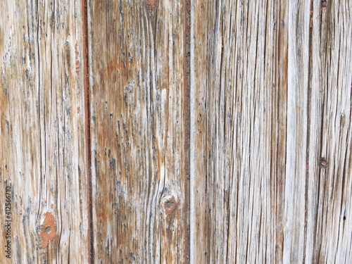 Wood Texture Outdoors In The Garden