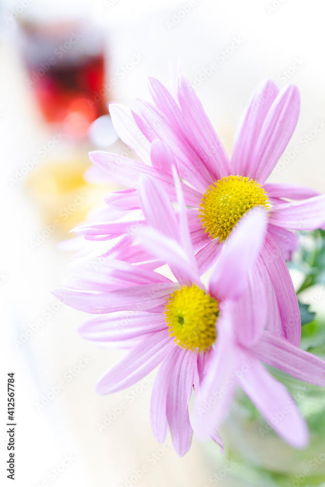 Purple daisies in a glass pot. Flower photography