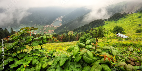 From Turkey, Trabzon, Uzungol, Longlake,  
tourism destination area,  photo