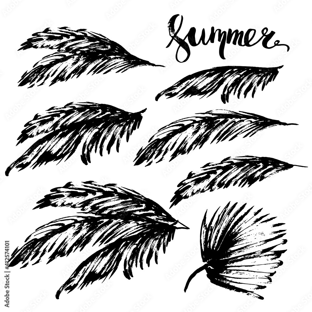 Set of ink hand drawn palm leaves - obrazy, fototapety, plakaty 