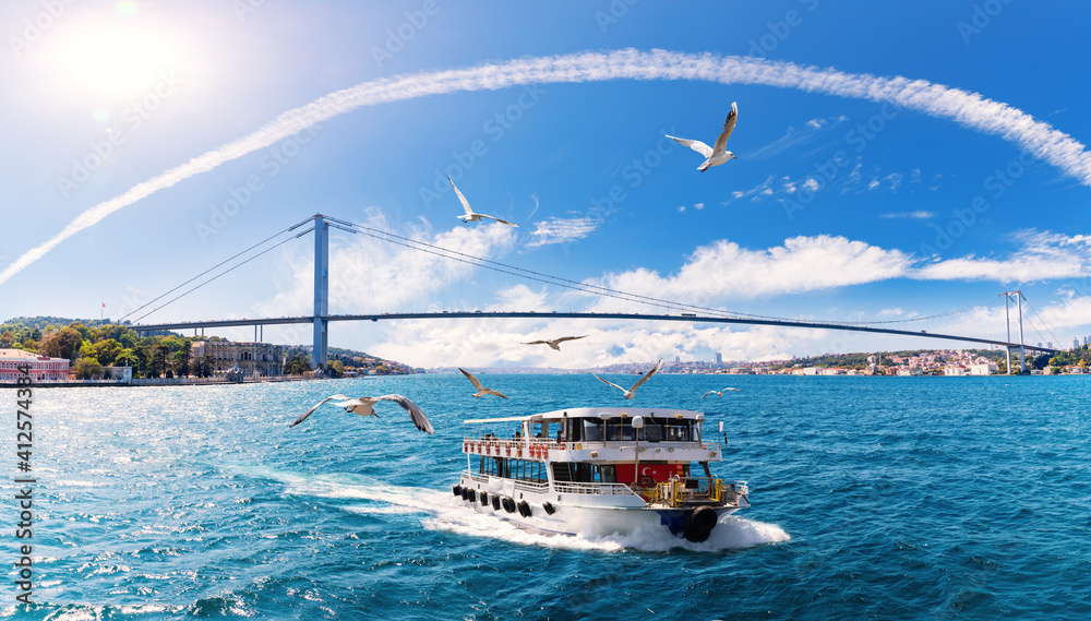 The ship is sailing on the Bosphorus with many seagulls around it, Istanbul